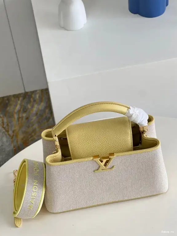 CAPUCINES VUITTON BB LOUIS 0422